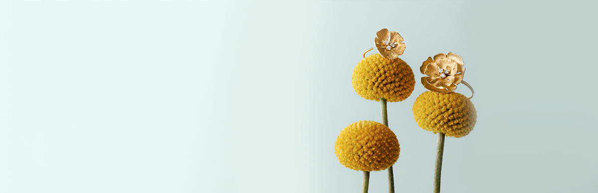 Ginkgo